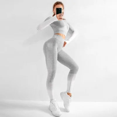 Seamless Ombre Long Sleeve Yoga Set